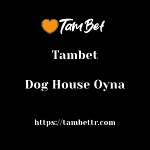 Tambet Dog House Oyna